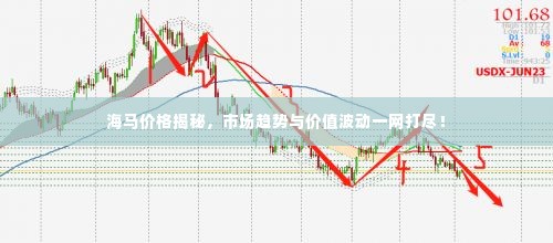 海马价格揭秘,市场趋势与价值波动一网打尽!