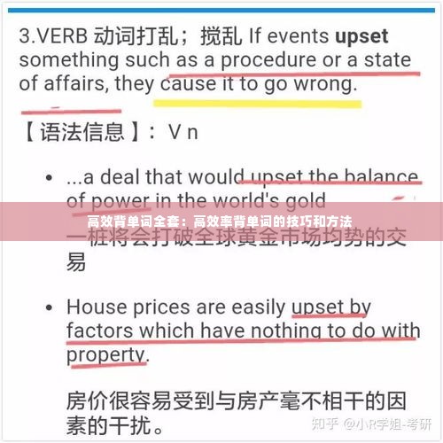 高效背单词全套:高效率背单词的技巧和方法