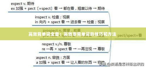 高效背单词全套:高效率背单词的技巧和方法