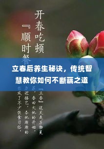 立春后养生秘诀，传统智慧教你如何不断藕之道