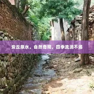 安丘泉水,自然奇观,四季流淌不竭