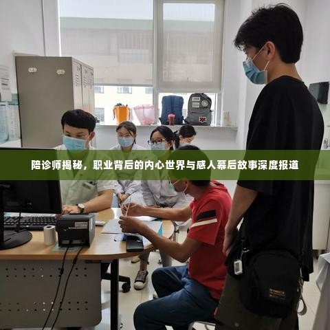 陪诊师揭秘,职业背后的内心世界与感人幕后故事深度报道