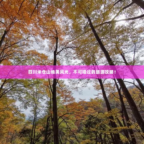 四川米仓山绝美风光,不可错过的旅游攻略!