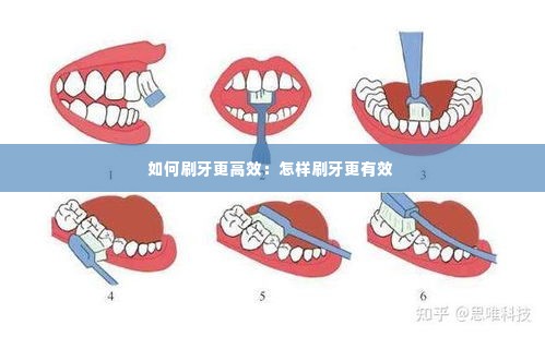 如何刷牙更高效:怎样刷牙更有效