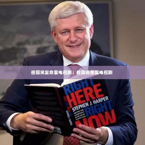 校园突发命案电视剧：校园凶杀案电视剧 