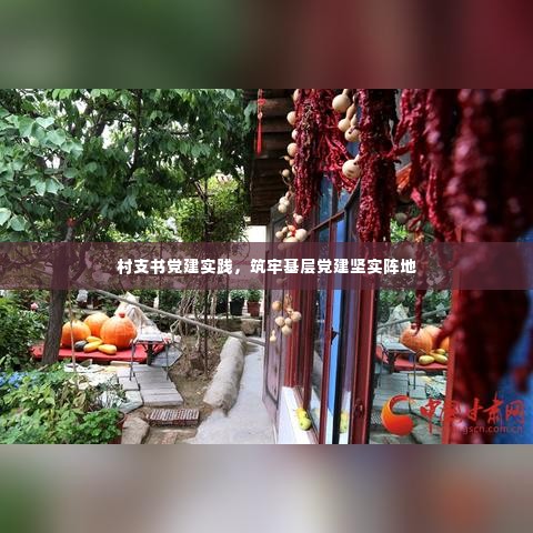 村支书党建实践，筑牢基层党建坚实阵地