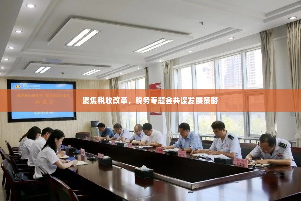 聚焦税收改革，税务专题会共谋发展策略