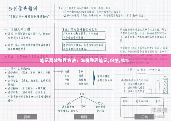 笔记高效整理方法:怎样整理笔记,归纳,总结
