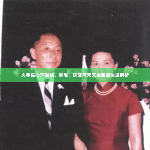 大学生心声揭秘，梦想、挑战与未来展望的深度剖析