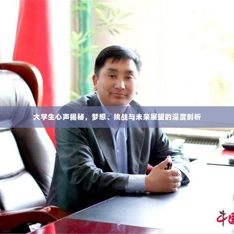 大学生心声揭秘,梦想、挑战与未来展望的深度剖析
