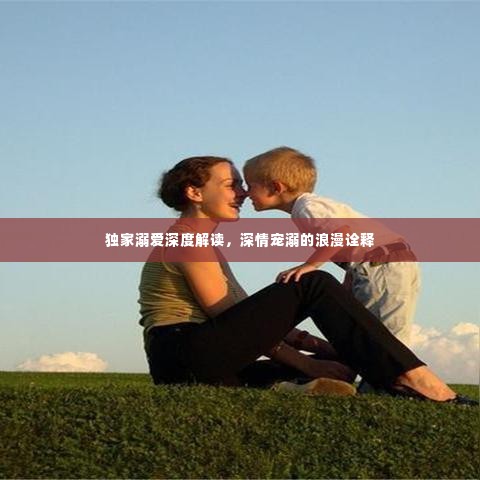 独家溺爱深度解读,深情宠溺的浪漫诠释