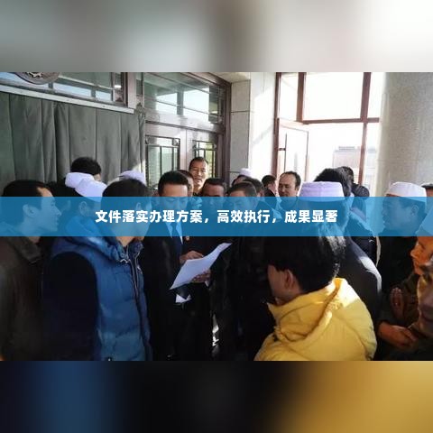 文件落实办理方案,高效执行,成果显著