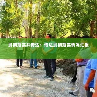 贯彻落实并传达:传达贯彻落实情况汇报