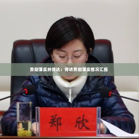 贯彻落实并传达:传达贯彻落实情况汇报