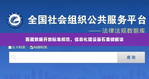 西藏数据开放标准规范,信息化建设基石重磅解读