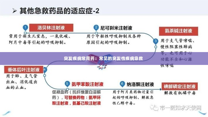 突发疾病常用药:常见的突发性疾病急救