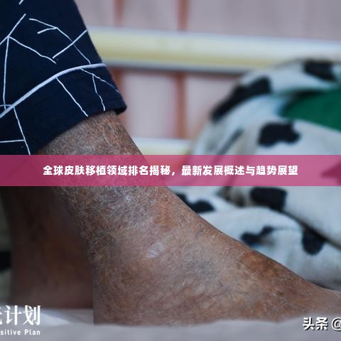 羽扇纶巾 第3页