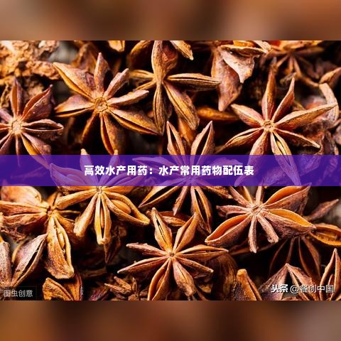 高效水产用药：水产常用药物配伍表 