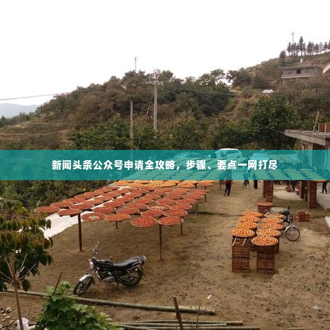 新闻头条公众号申请全攻略,步骤、要点一网打尽