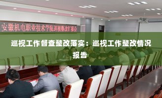 巡视工作督查整改落实：巡视工作整改情况报告 
