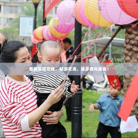 奉新赏花攻略,畅游花海,尽享春光盛宴!