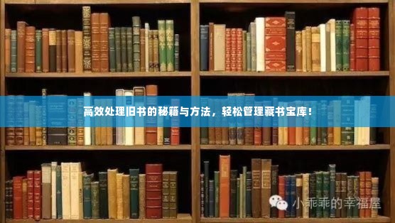 高效处理旧书的秘籍与方法,轻松管理藏书宝库!