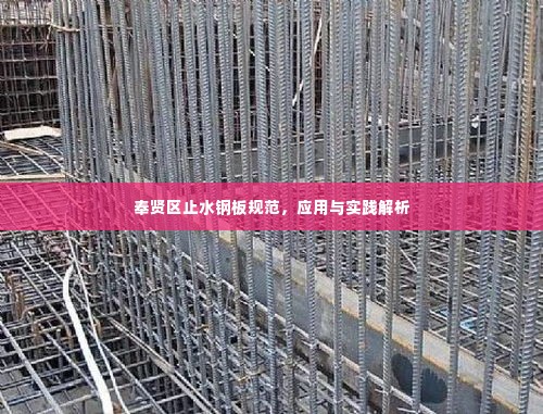 奉贤区止水钢板规范，应用与实践解析