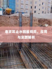 奉贤区止水钢板规范,应用与实践解析