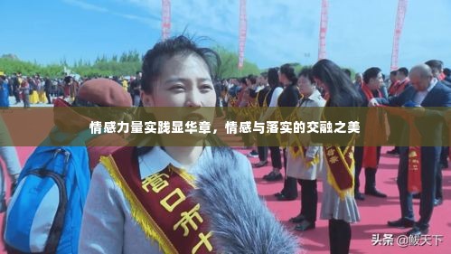 情感力量实践显华章,情感与落实的交融之美