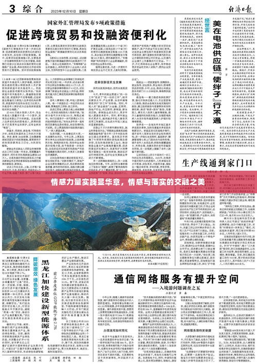情感力量实践显华章,情感与落实的交融之美