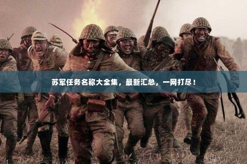苏军任务名称大全集,最新汇总,一网打尽!