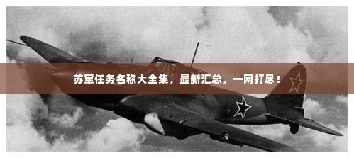 苏军任务名称大全集,最新汇总,一网打尽!