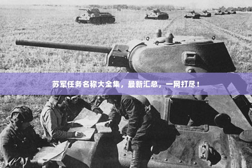 苏军任务名称大全集,最新汇总,一网打尽!