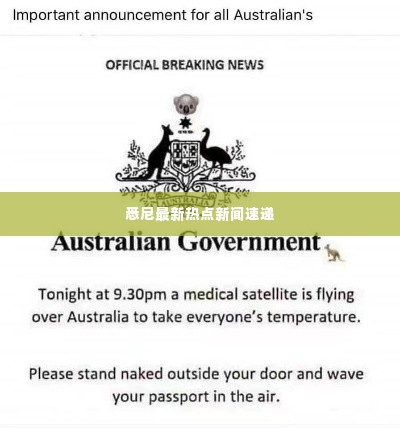 悉尼最新热点新闻速递