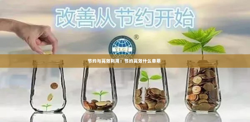 节约与高效利用：节约高效什么意思 