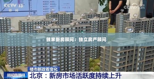 独家新房顾问:独立房产顾问