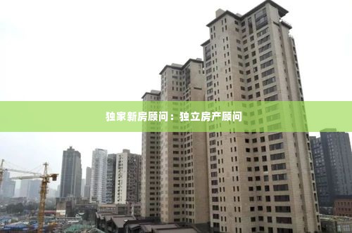 独家新房顾问:独立房产顾问