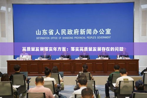高质量发展落实年方案:落实高质量发展存在的问题