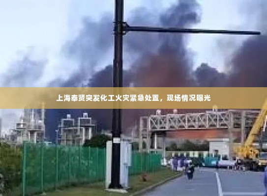上海奉贤突发化工火灾紧急处置,现场情况曝光