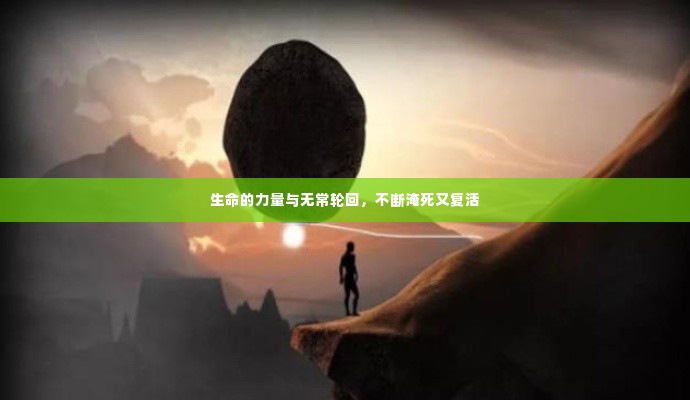 生命的力量与无常轮回,不断淹死又复活