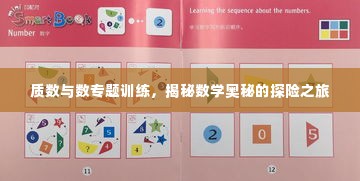 质数与数专题训练,揭秘数学奥秘的探险之旅