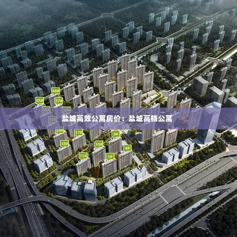 盐城高效公寓房价：盐城高档公寓 