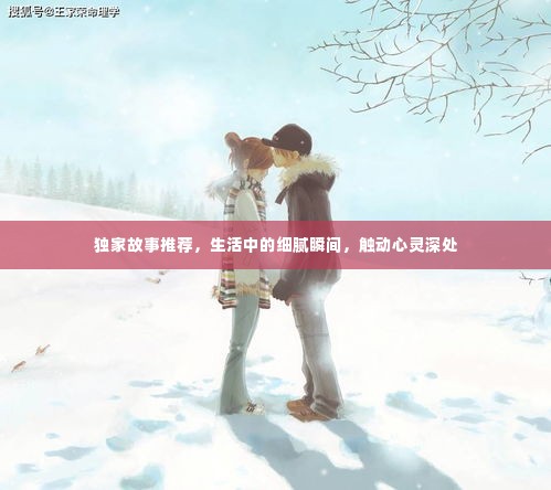 独家故事推荐，生活中的细腻瞬间，触动心灵深处