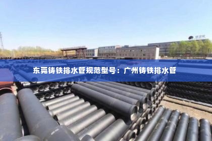 东莞铸铁排水管规范型号：广州铸铁排水管 