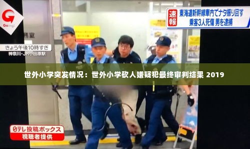 世外小学突发情况：世外小学砍人嫌疑犯最终审判结果 2019 