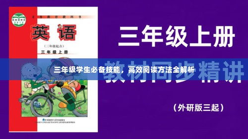 三年级学生必备技能，高效阅读方法全解析