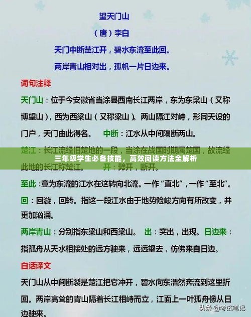 三年级学生必备技能,高效阅读方法全解析