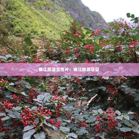 镇江旅游宣传片:镇江旅游项目