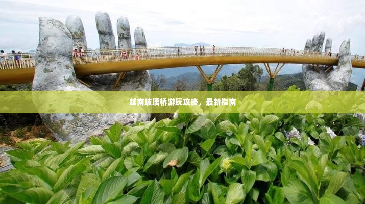 越南玻璃桥游玩攻略,最新指南