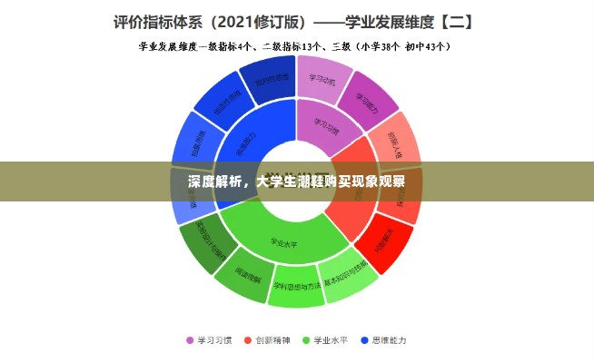 深度解析，大学生潮鞋购买现象观察
